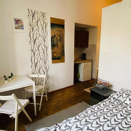 Historic Apartment 克拉科夫 外观 照片