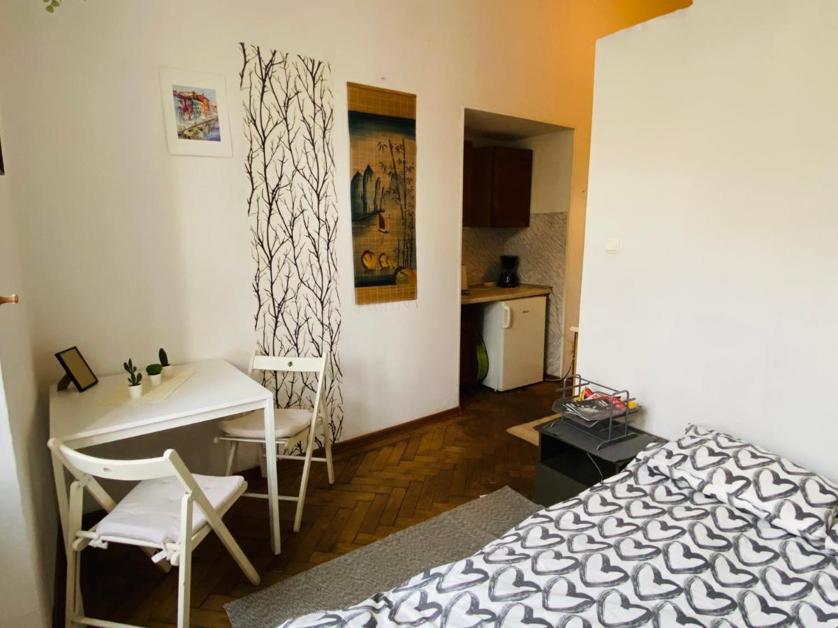Historic Apartment 克拉科夫 外观 照片